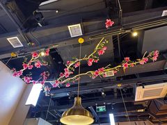 -老板恋上鱼(高新万达店)