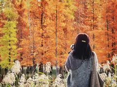 -白鹭湾湿地公园