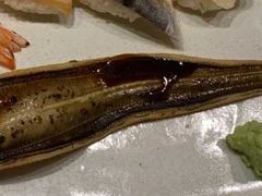 海鳗寿司-板长寿司(铜锣湾店)