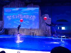 -华夏文旅海洋公园