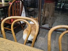 -肥朵食堂(带梦胡同店)