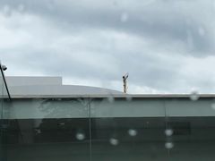 -金泽21世纪美术馆