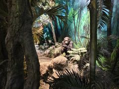 -国家自然博物馆