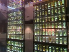 -广东中医药博物馆