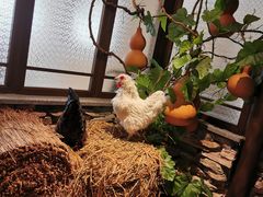 景观位-洞庭土菜馆(天河北总店)
