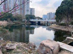 -新江湾城公园