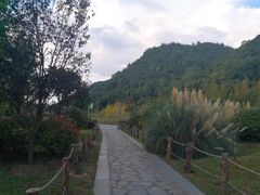 -贵阳市花溪国家城市湿地公园