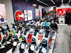 -九号电动车(安定门内大街店)