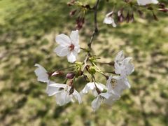 -龙美术馆(西岸馆)