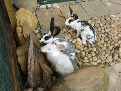 -惠州金海湾嘉华度假酒店