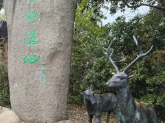 -溱湖国家湿地公园