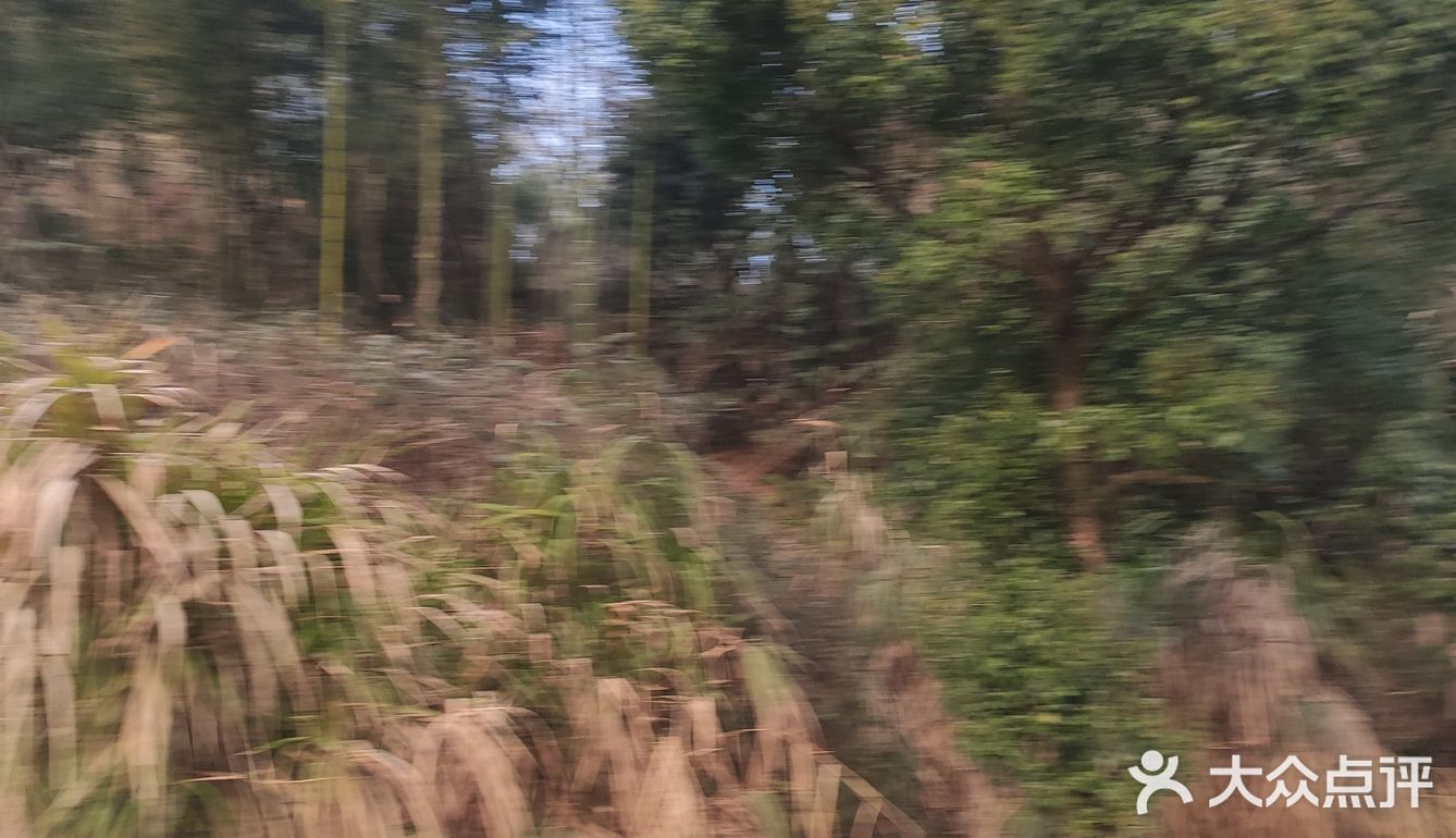 姑春天楼的内部刮起了一阵旋风，随即开始溶解这尊鼎