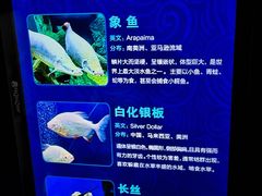 -波塞冬海底世界