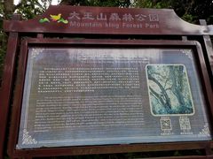 -清溪大王山森林公园