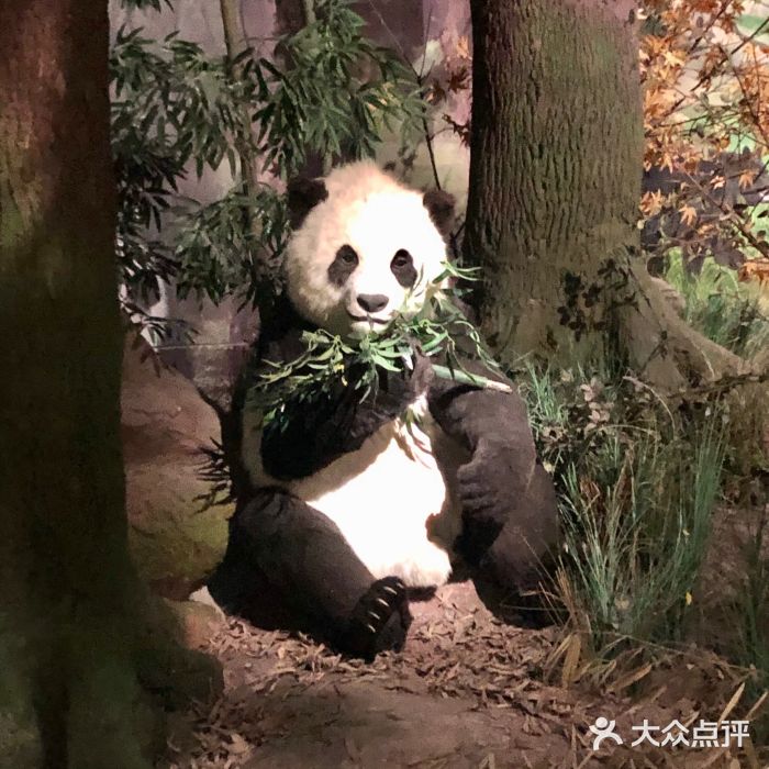 湖南省地质博物馆图片