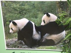 -五龙山野生动物王国