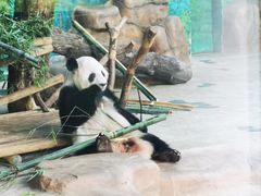 -南宁市动物园