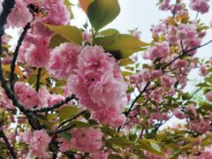 -中国农业大学(西校区)