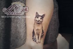 宠物喵-METATTOO ArtSpace高端定制刺青店
