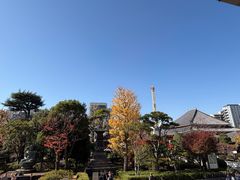 -浅草寺