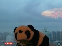 -上海雅居乐万豪侯爵酒店