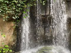 -南山植物园