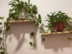 -养心阁足道馆(火宫殿一店)
