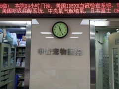 -申普宠物医院·心脏介入·心血管微创(总院)