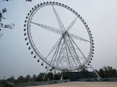 -祥源·阜阳生态乐园