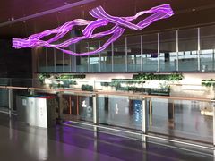 -贵阳龙洞堡国际机场-T2航站楼