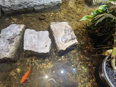 -邈墨茶馆(凤起路店)