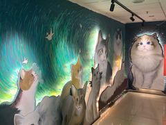 -猫腻·猫咖·撸猫馆(星光大道店)
