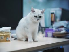 -永祥烧腊餐厅(虹口店)