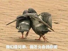 -李德富老街牛杂火锅(抚琴街店)