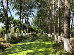 -东郊湿地公园