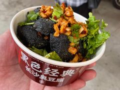 -黑色经典臭豆腐·湖南特产(坡子街店)