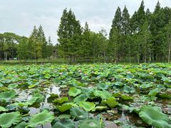 -渤公岛生态公园