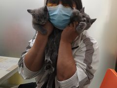 -伟伟宠物医院·瑞派猫友好医院·猫科(光谷店)