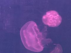 -石林冰雪海洋世界