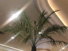 -逸派咖啡 EPARKCOFFEE(广安门店)