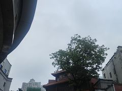 -广州酒家(文昌总店)