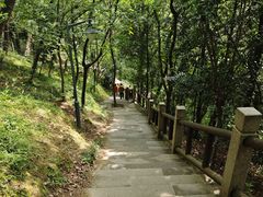 -峙山公园