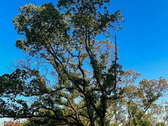 -上海植物园-4号门售票处