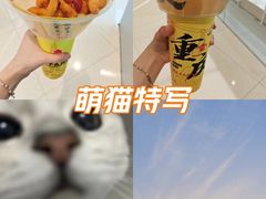 -龙头寺公园