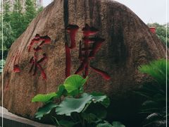 -陈家山荷花公园