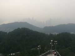 -大金鹰园