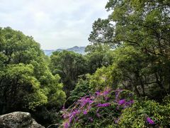 -青芝山风景名胜区