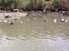 -青藏高原野生动物园