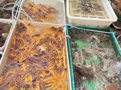 -毕家疃综合市场