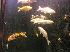 -弘安丽水温泉酒店